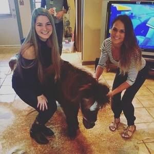 Meet your Posher, Ashley